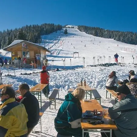 Apartment Apartment In Hochkrimml Near Ski Slopes, Cleaning Included *