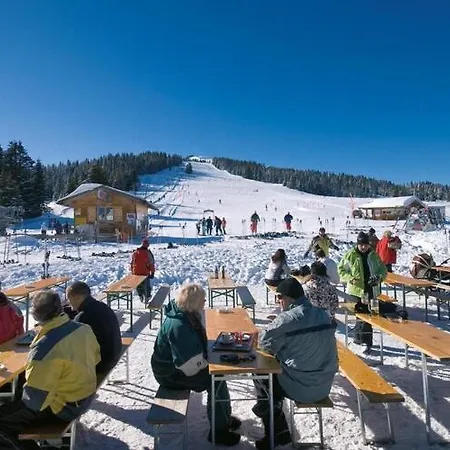 Apartment Apartment In Hochkrimml Near Ski Slopes, Cleaning Included *